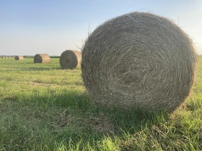 Bele 120x120 siano,słoma, sianokiszonka