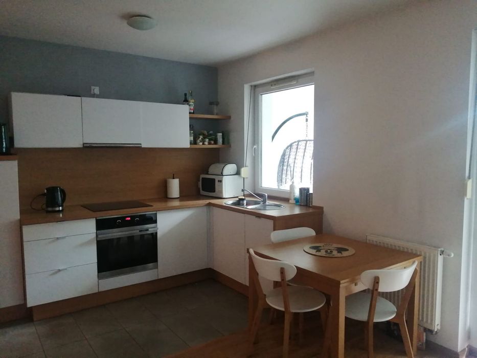 Mieszkanie na wynajem - 50 m² na Marcelińskiej - Widok 2