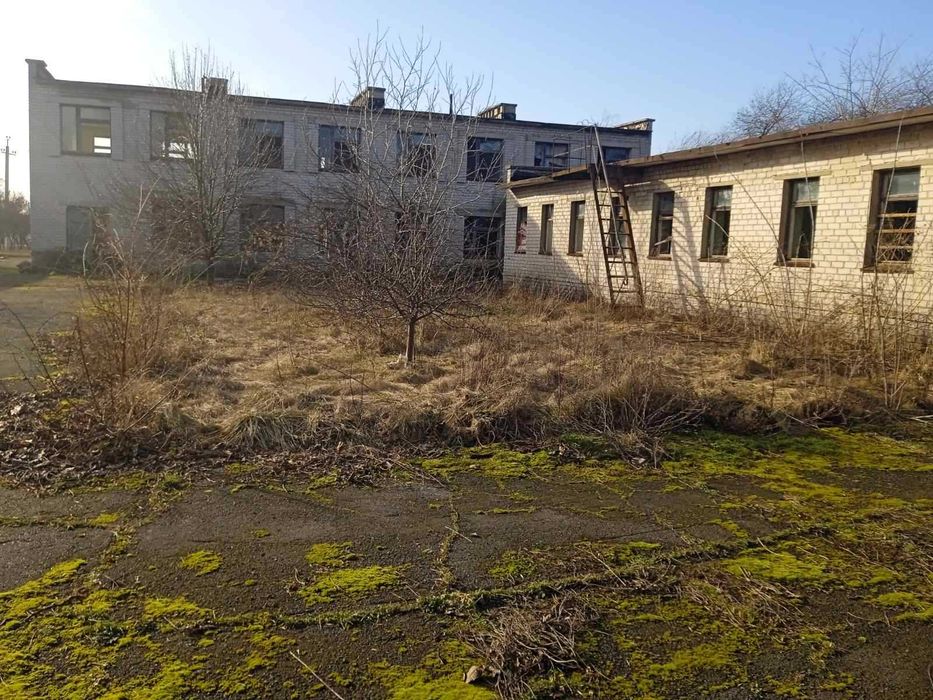 Частина комплексу будівель 1 228.2 м2, Царичанка. Першотравневий, 11