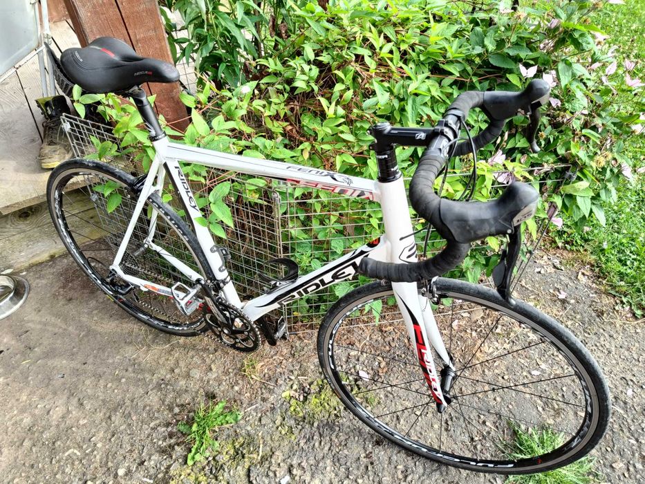 Radley Fenix FORZA Shimano 105 rower szosowy