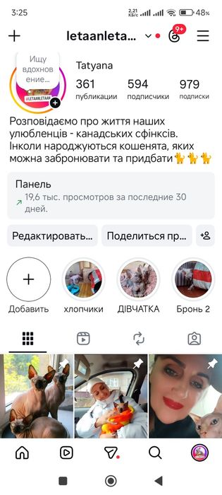 Канадський сфінкс дівчинка на бронь