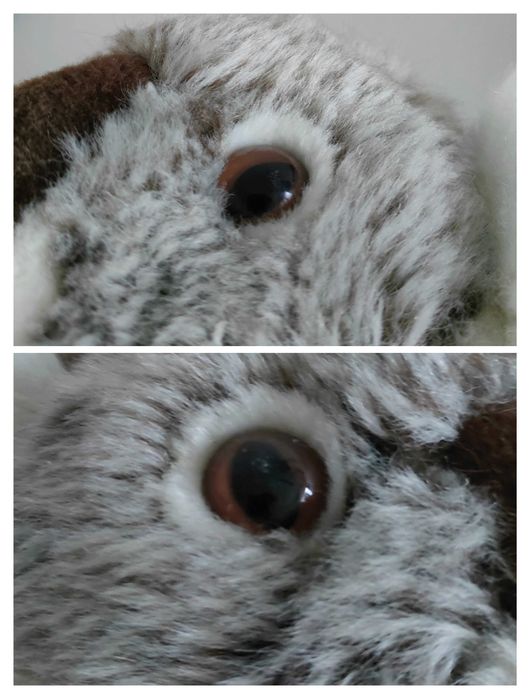 Koala WWF Bon Ton Toys