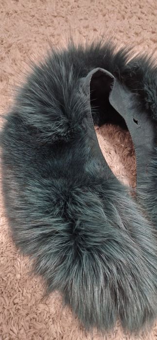 Kołnierzyk norka zielony