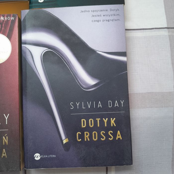 Sylwia Day, 4 książki