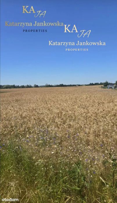 Dwie działki usługowe – Ligota Piękna | 200 zł/m²