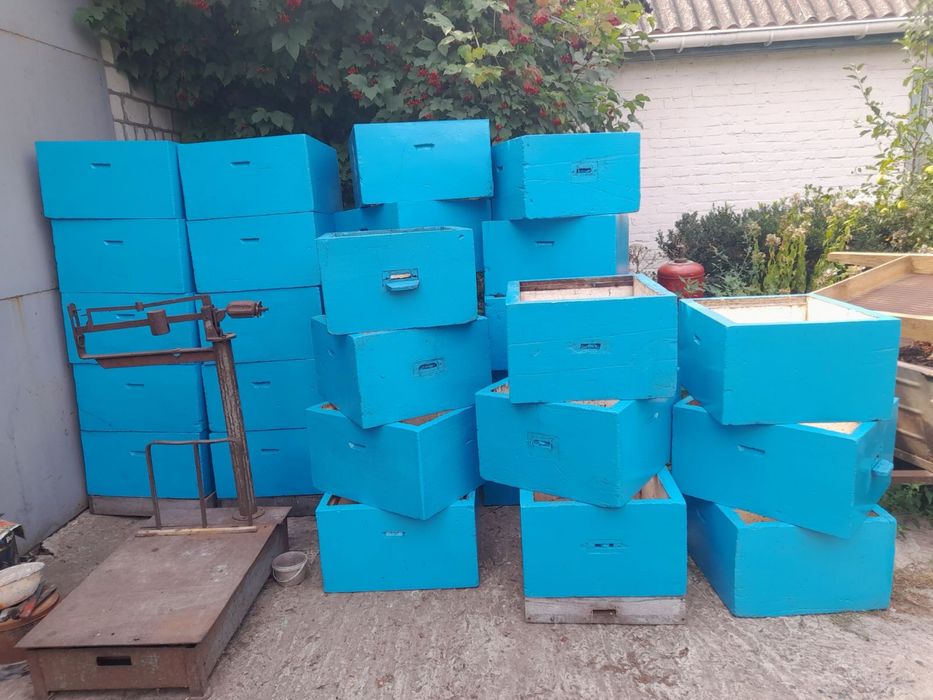 Продам платформу, корпуса, рамки для пасіки