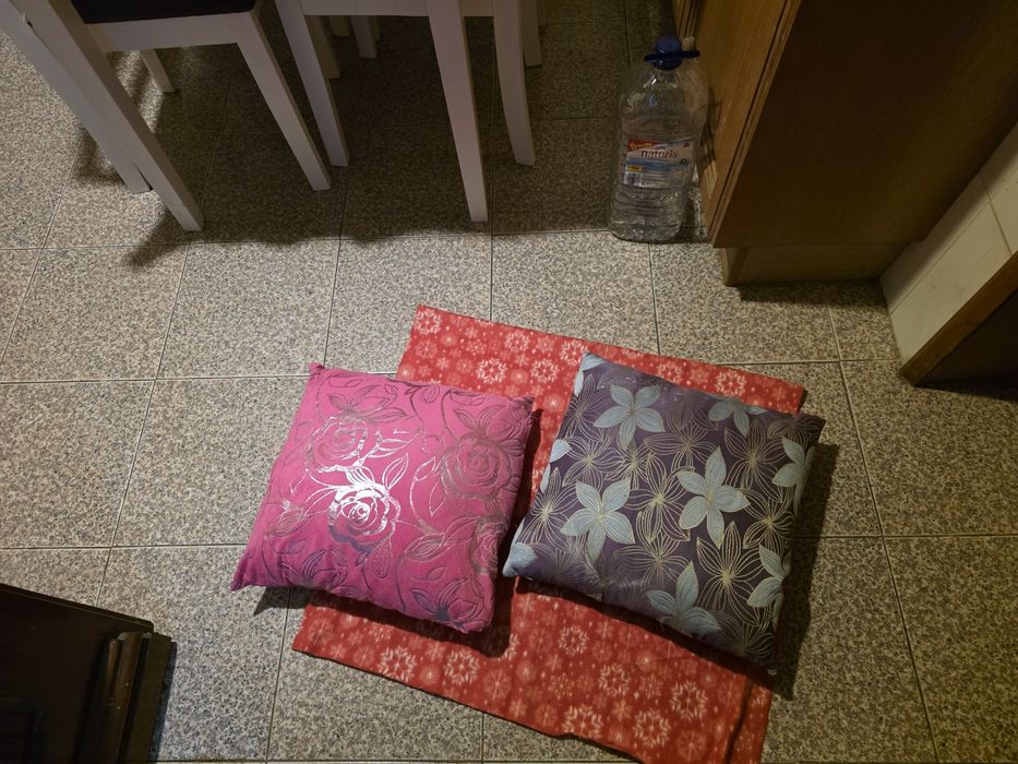 Vendo 2 almofadas usadas