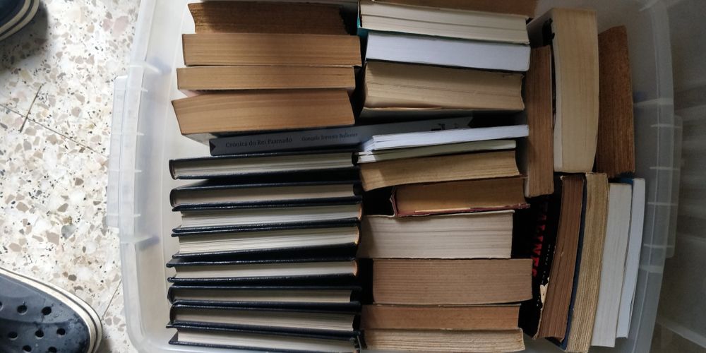 Lote de livros variados