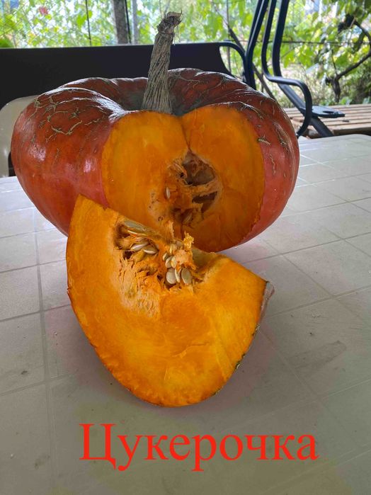 Насіння солодких гарбузів