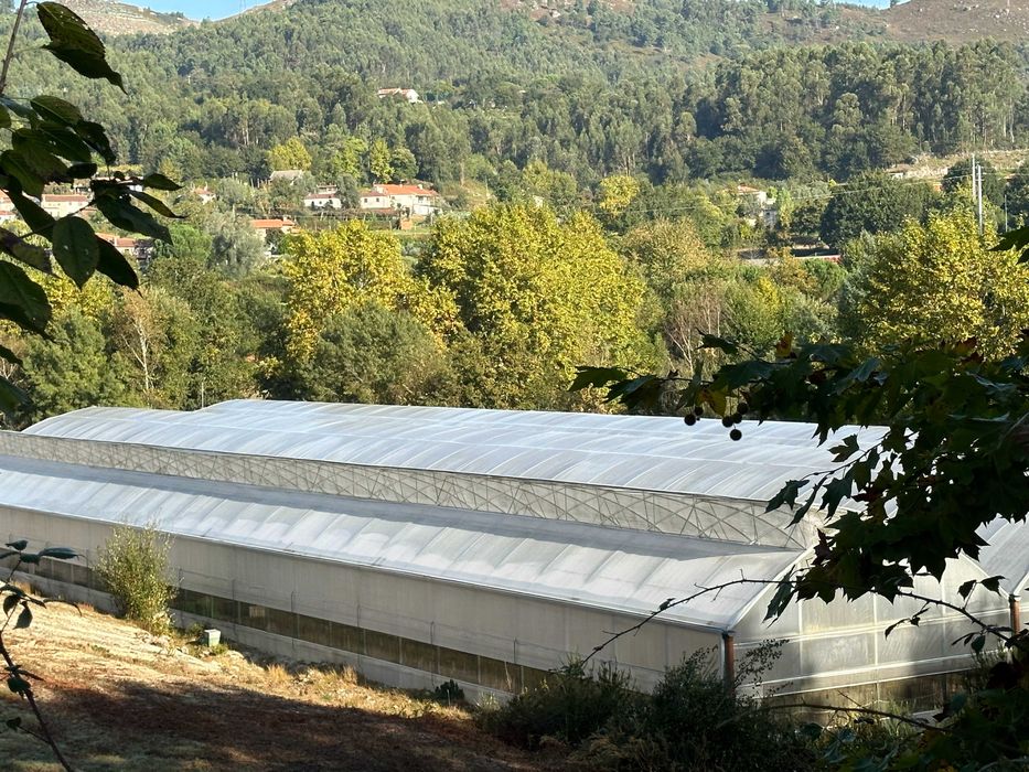 Estufa Gotica, 2700 m2 - excelente estado