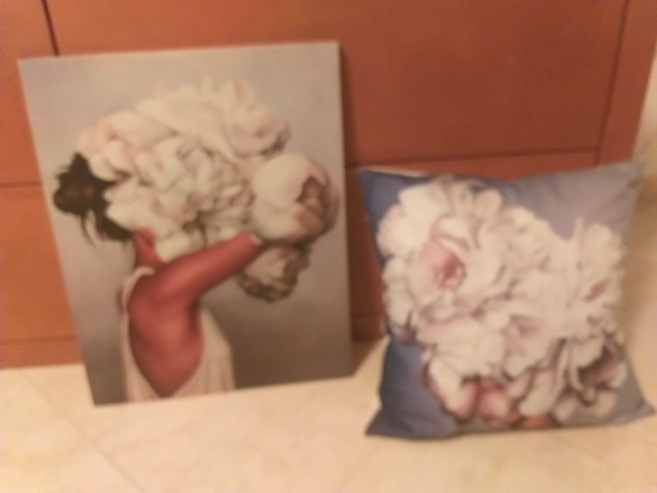 conjunto de quadro e almofada pouco usados