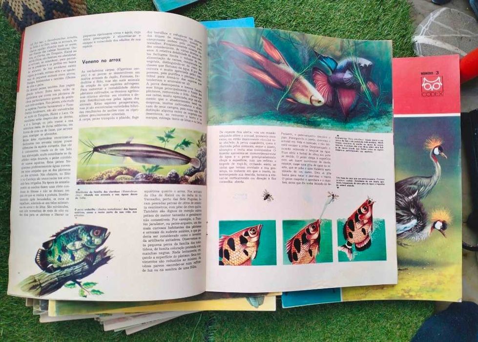 62 Fascículos da " Naturama: Enciclopédia do Mundo Animal" - anos 60