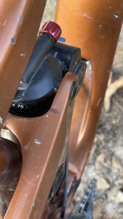 Scott Gambler 2020 Tamanho M