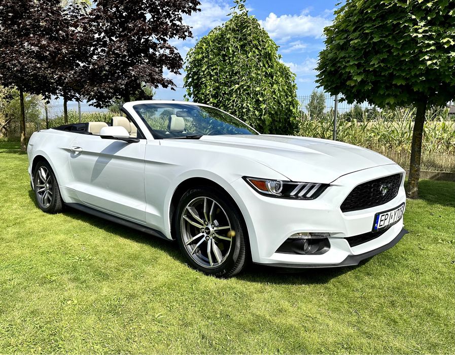 Audi RS Q3 / Q8 Mercedes AMG Mustang CABRIO  wynajem aut wypożyczalnia