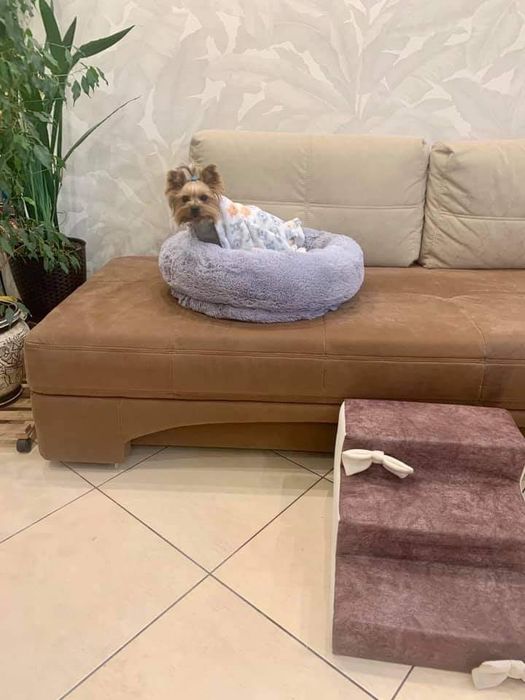 Сходи приліжкові/ пандус шоколадного кольору