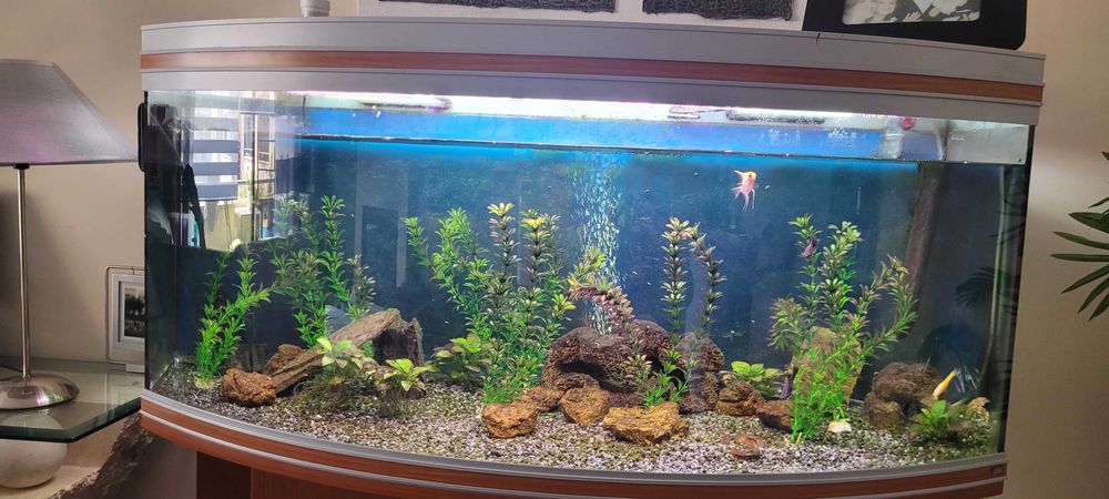 Aquario 220lts com filtro externo rena e movel
