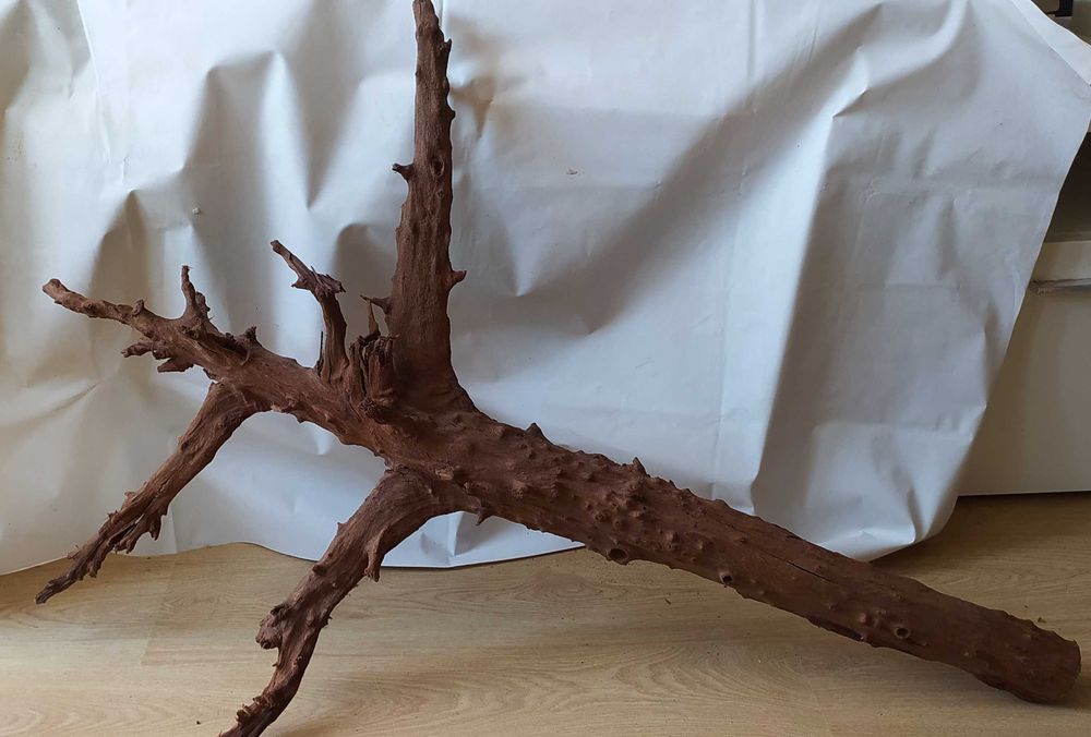 Olbrzymi korzeń -110cmx80cm