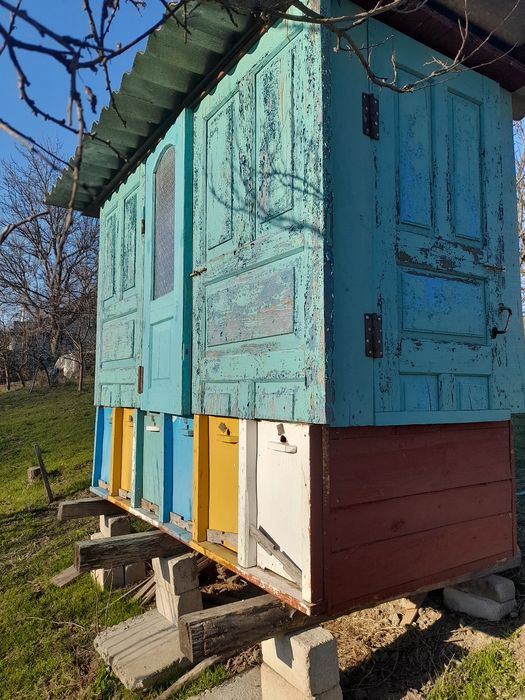 Продам апидомик с 6 ульев.