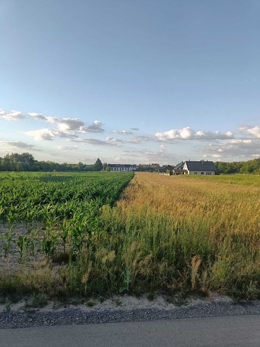 0,96 ha | MPZP 1MN | Działka blisko Rzeszowa - potencjał pod zabudowę mieszkaniową| Rudna Wielka (gmina Świlcza)
