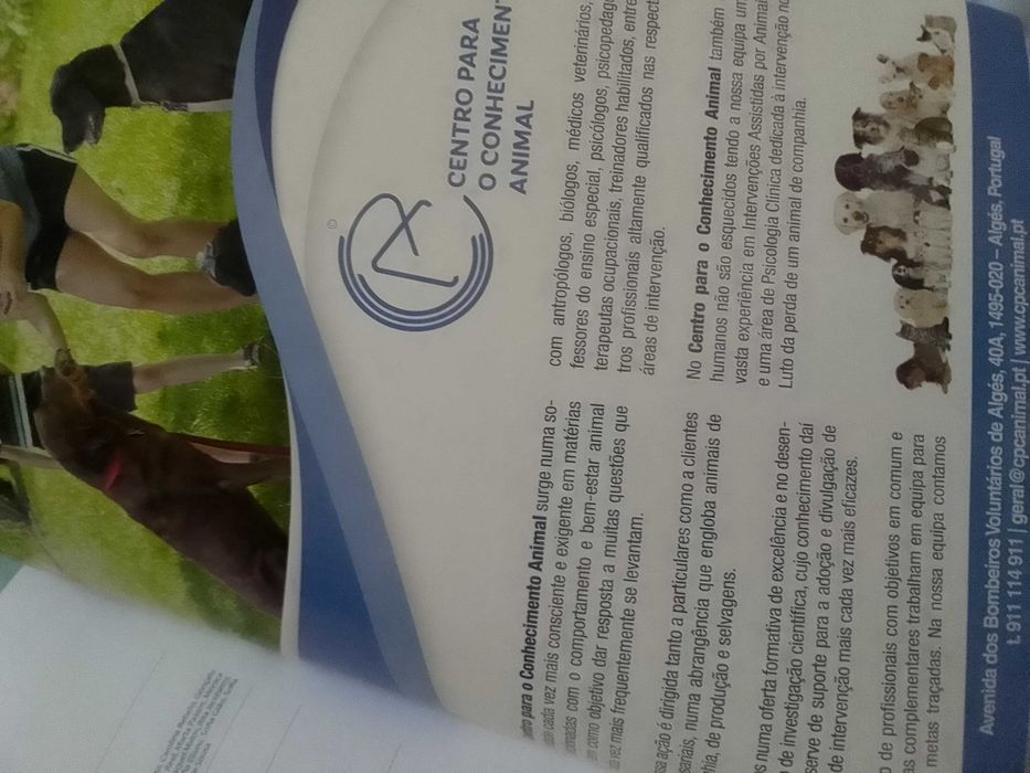 Livro "A Vida de um Cão - Guia Completo dos 0 aos 15 anos"