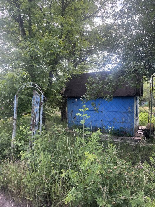 Фото ділянки