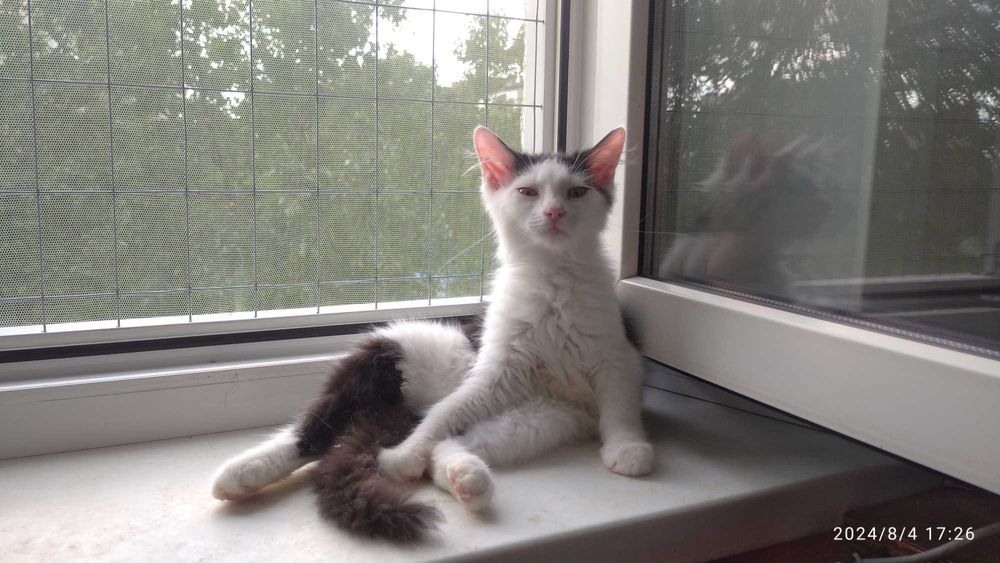 Марися шукає родину