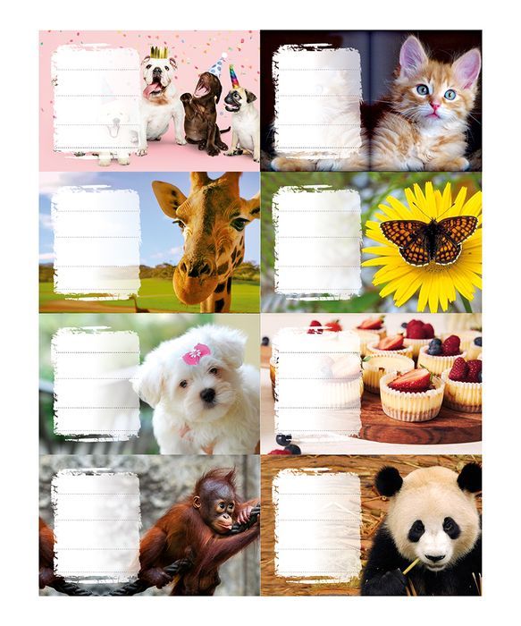 Naklejki na zeszyty Girls 24 szt Panta Plast