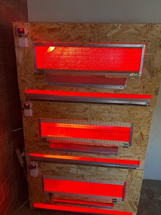 Клітки та Брудера для перепілок 3-х ярусні з піддонами