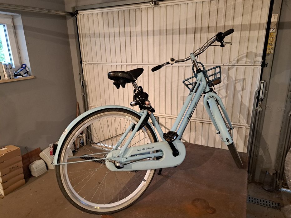 Rower miejski Alpina