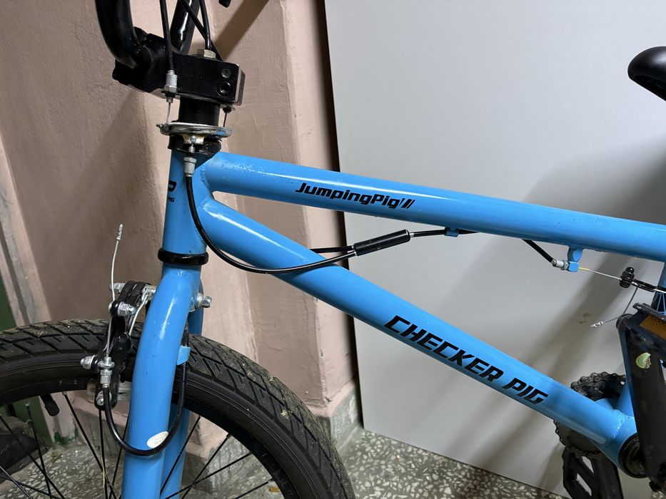 BMX CHecker Pig 20’