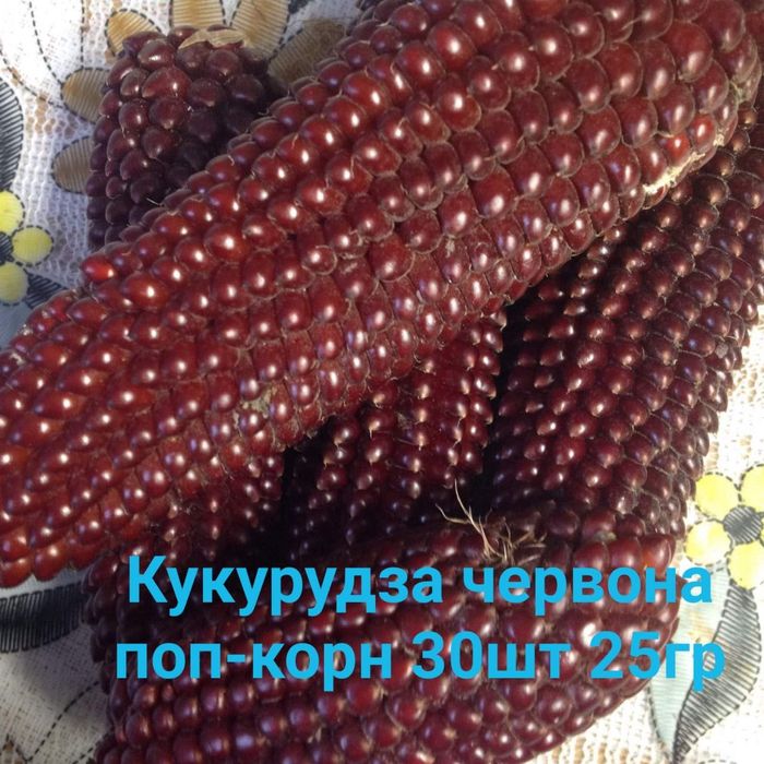 насіння гарбузові, картопля.кукурудза для попкорму.