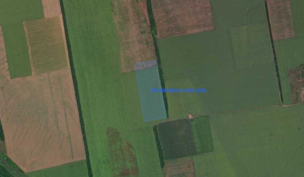 Продаж паю 9,85 га, 5123983200:01:002:0282 Одеська обл.