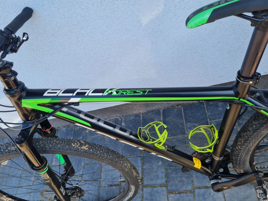 Focus Black Forest 29