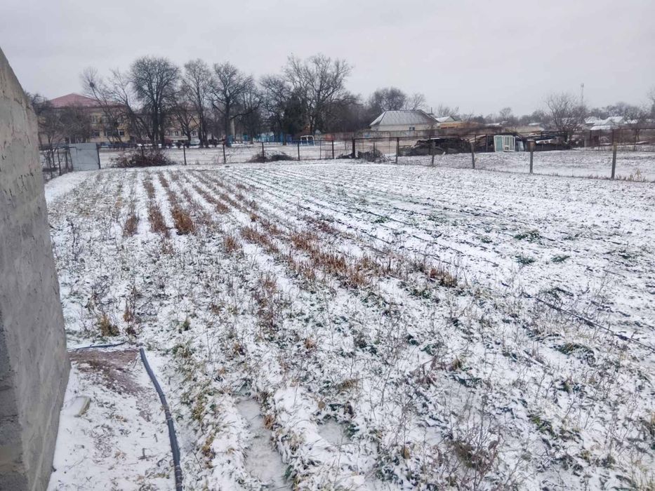 Ділянка з фундаментом + будівельні матеріали с. Вергуни