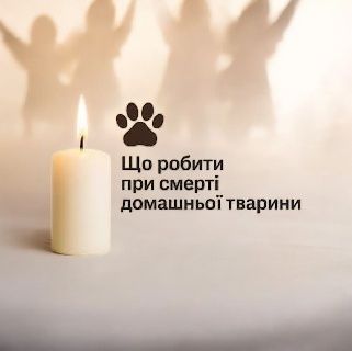 Евтаназія на дому. Кремація тварин