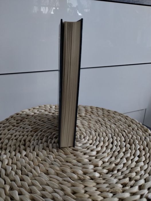 Książka "seria niefortunnych zdarzeń księga trzecia ogromne okno