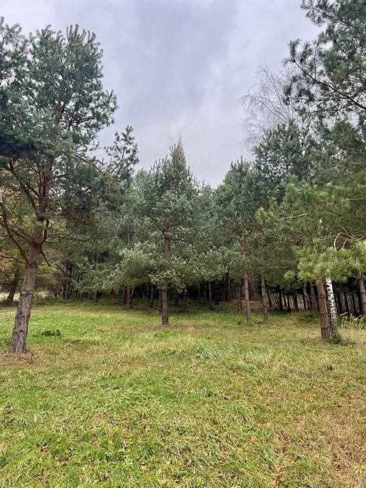 Dzialka widokowa warunki zabudowy Bieszczady