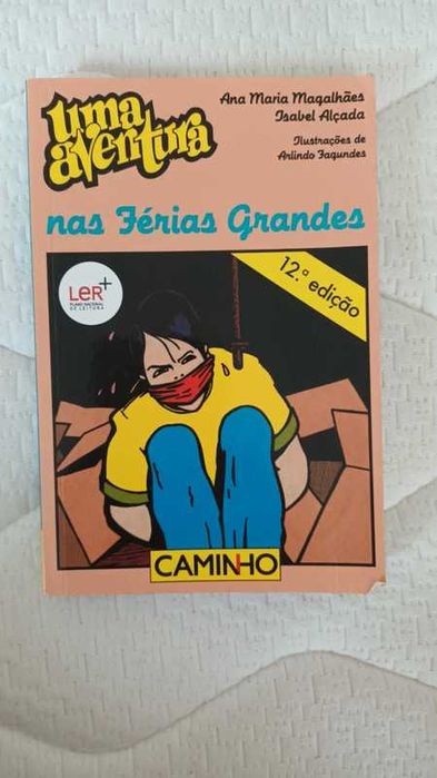 Uma aventura: Nas férias grandes