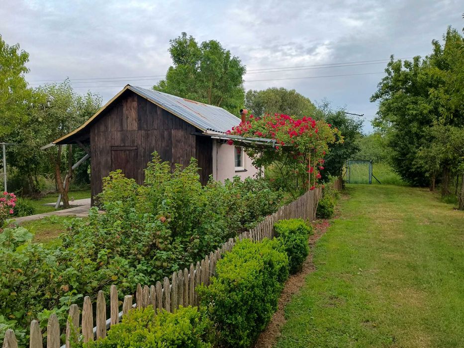 Działka ROD Słoneczny Bełchatów - Widok 3