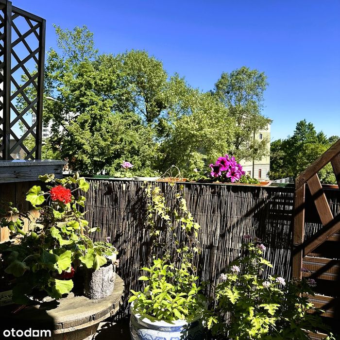 Klimatyczny apartament na Jeżycach