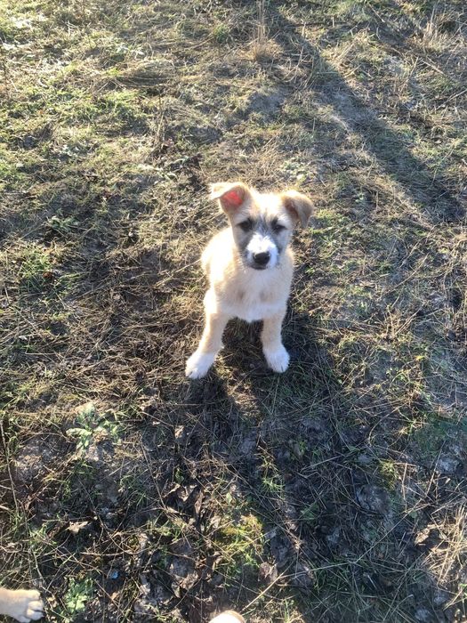 Хлопчик шукає родину