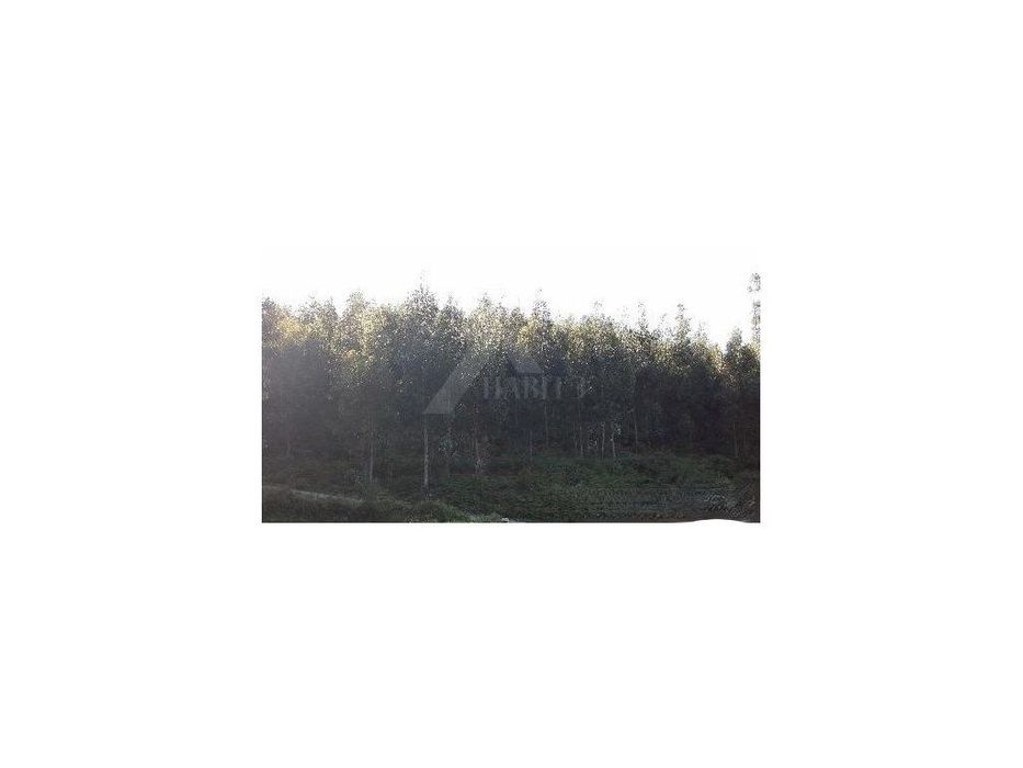 Land Plot