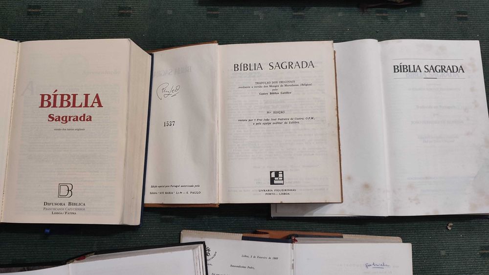 Lote 5 Biblias Diferentes Edições