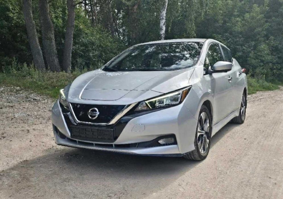 Nissan Leaf 2019