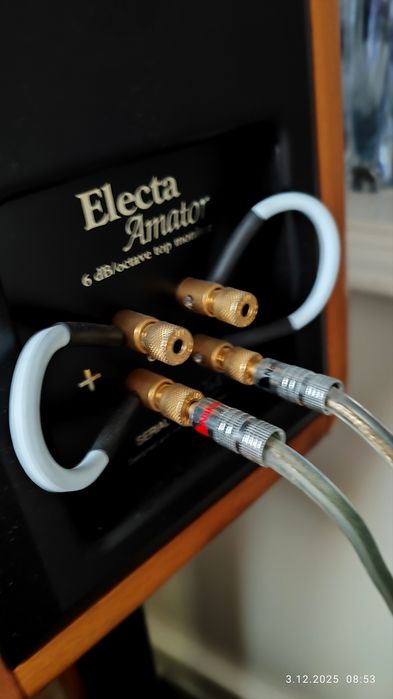 Monitory Sonus Faber Electa Amator mk1. Świetny Stan. Ciechanów • OLX.pl
