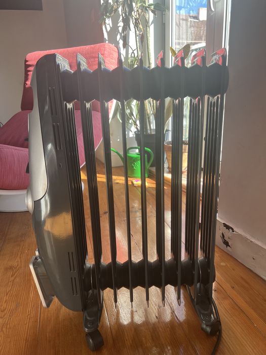 Aquecedor a Óleo AEG  (1500 W)