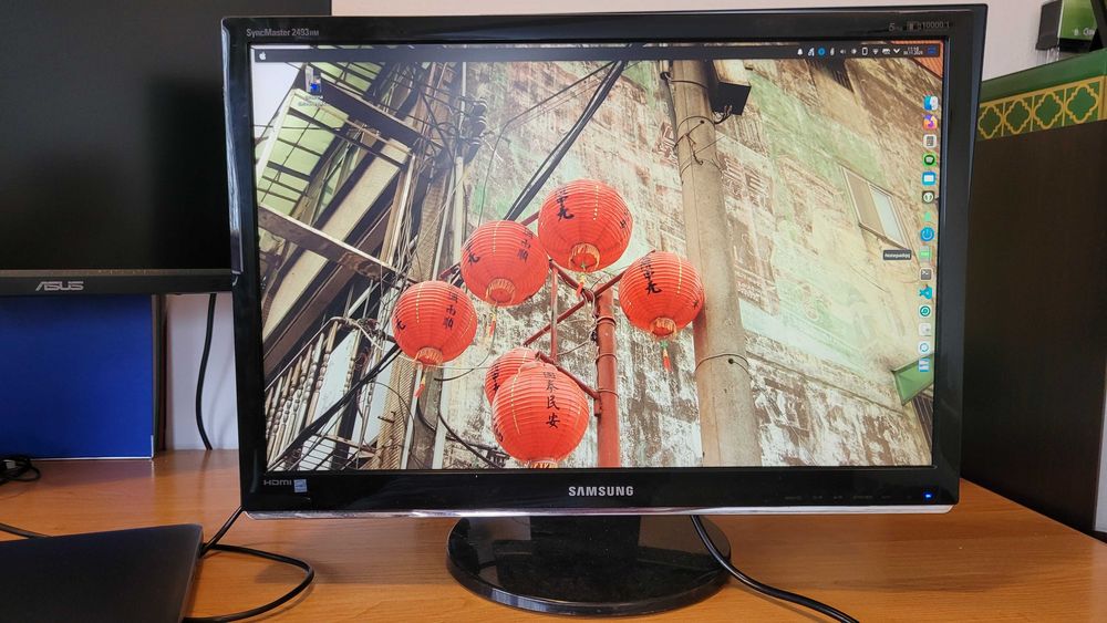 Samsung SyncMaster 2493HM 24 cale (sprawny)