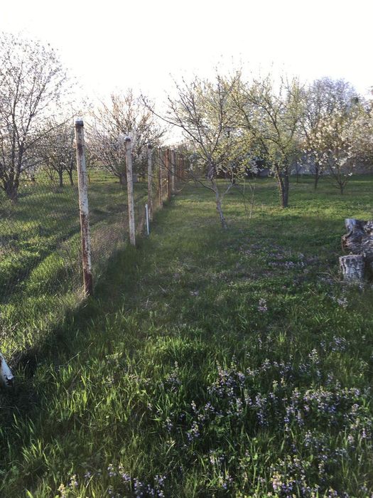 Продаж будинку. 67 м2. Передмістя