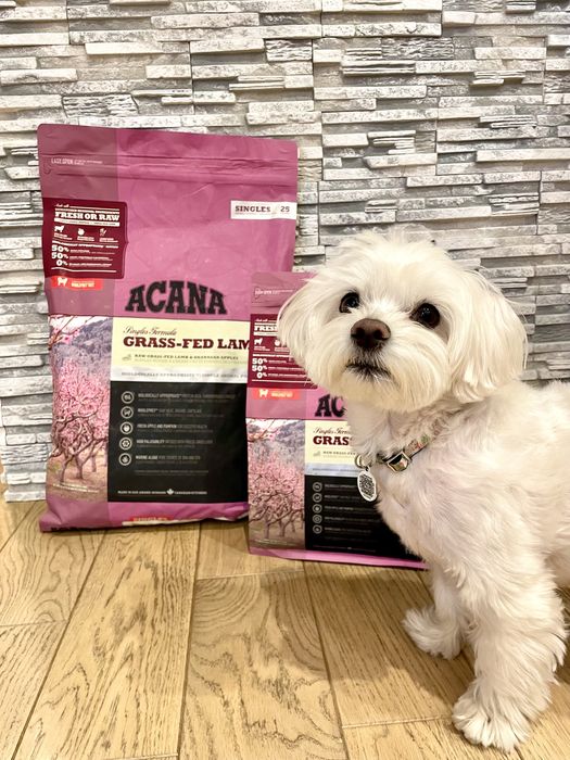 Корм Acana (Акана) Grass Fed Lamb- 2 кг 6кг 11- 17кг для собак з ягням