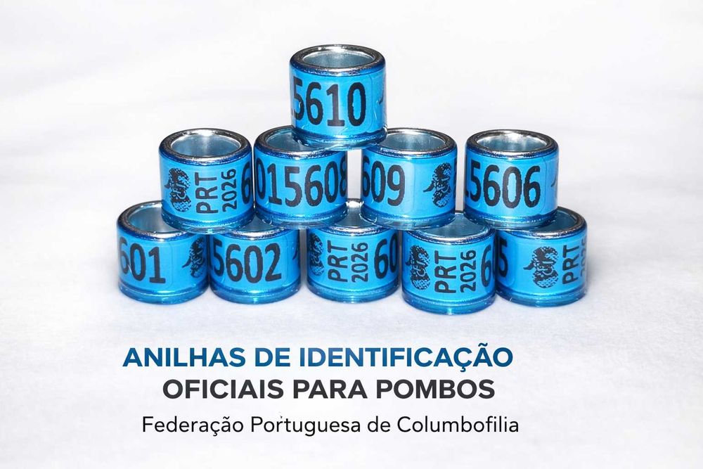 Anilhas Pombos Correios Oficiais Portugal 2026 com ID Cartões
